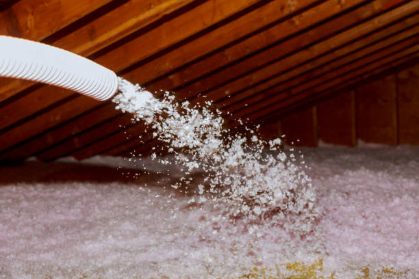 Best Geographic-Specific Insulation Services in Shallotte, NC