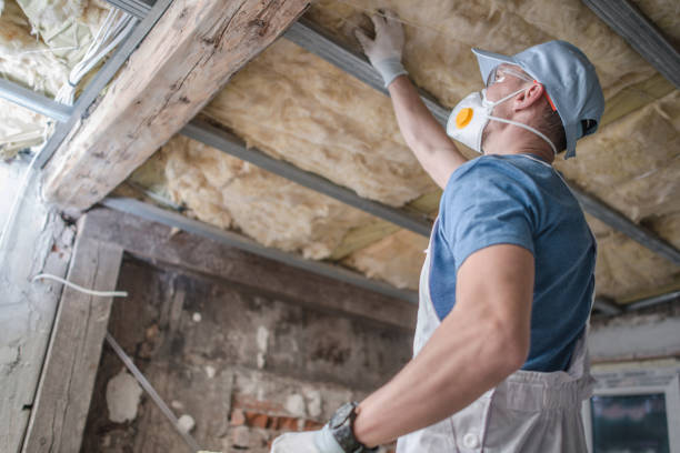 Best Cellulose Insulation in Shallotte, NC