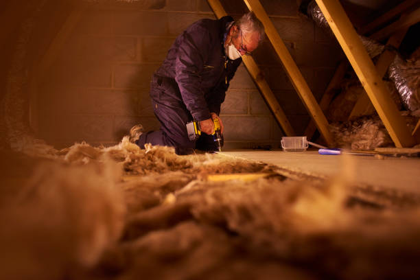 Best Residential Insulation in Shallotte, NC